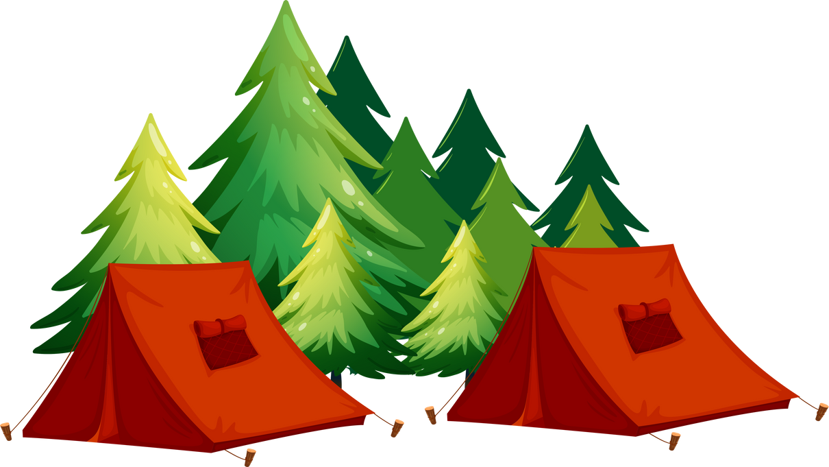 Camping Tents and Trees